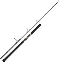 釣具 買取 ダイワ DAIWA ジギングロッド ソルティガAP JS56S-6